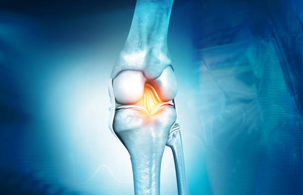 istock Anatomy of knee joint 1205215330