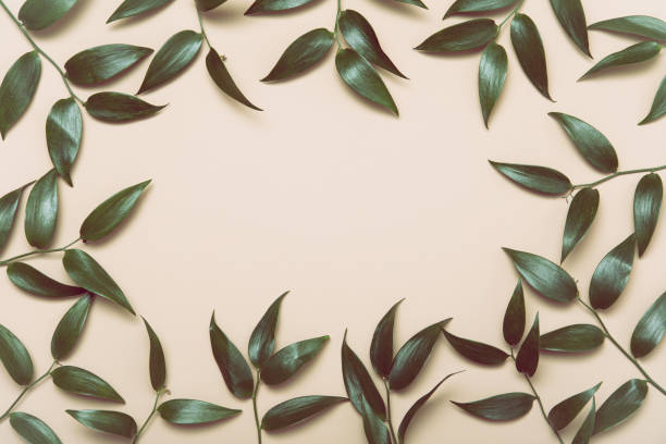 istock Flower flat lay for decorative design on beige background. Minimal romantic hipster concept, mockup background. 1205215582