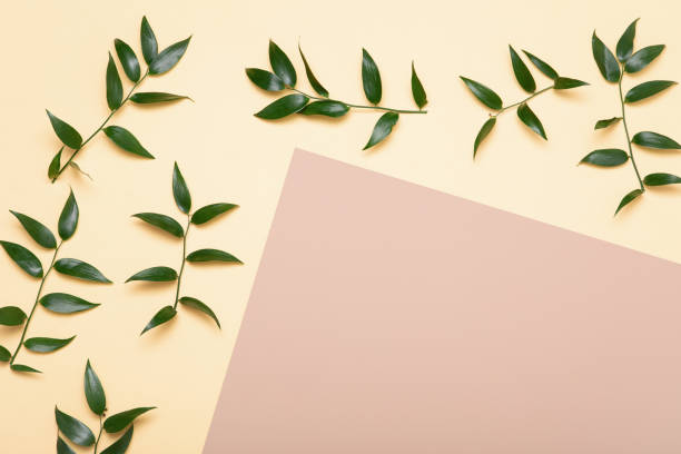 istock Green branch flat lay. Flowers minimal composition on beige background. 1205215617