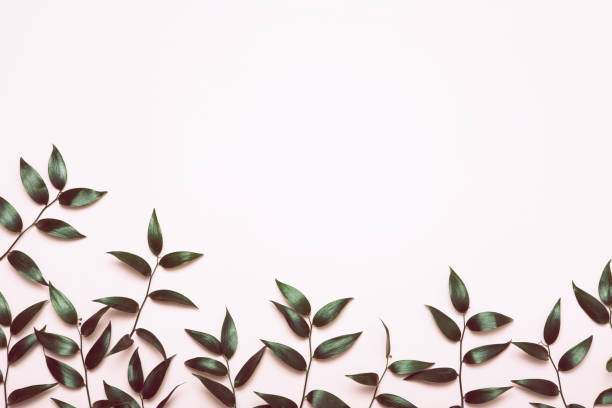 istock Green branch flat lay. Flowers minimal composition on pink background. 1205215773