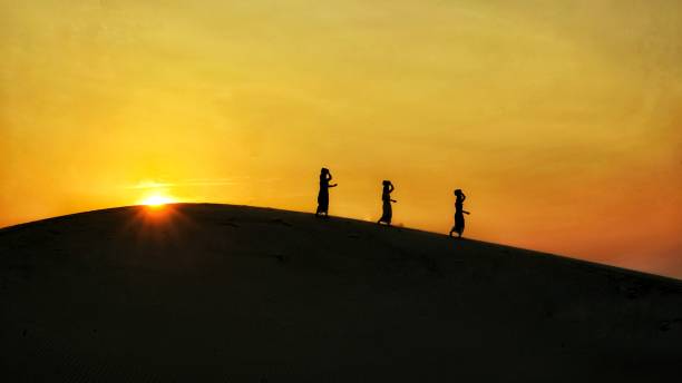 istock Nam Cuong Sand dunes 1205215852