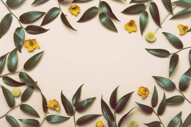istock Green branch flat lay. Flowers minimal composition on beige background. 1205215879
