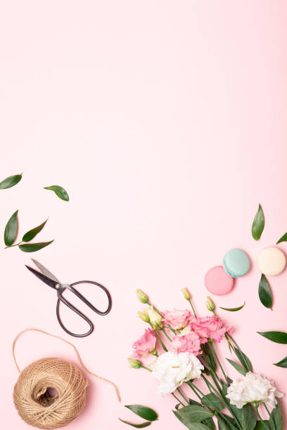 istock Flower flat lay for decorative design on pink background. Minimal romantic hipster concept, mockup background. 1205216619