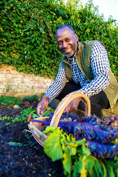 istock Mature man with organic carrots 1205216651