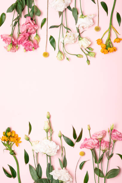 istock Flower flat lay for decorative design on pink background. Minimal romantic hipster concept, mockup background. 1205216875