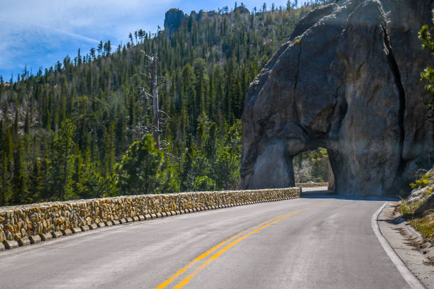 Hood Tunnel in Black Hills National Forest, South Dakota A large passageway along the Iron Mountain Road of the forest black hills photos stock pictures, royalty-free photos & images