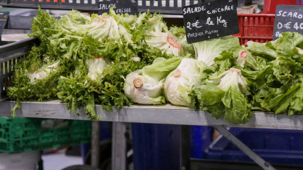 istock organic escarole salad on the market place 1205221073