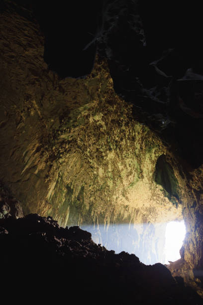 istock View inside Deer cave in Gunung Mulu National Park 1205222630