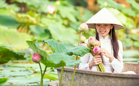 Vietnamese girl with conical hat and modern ao dai, background are Tet lanterns