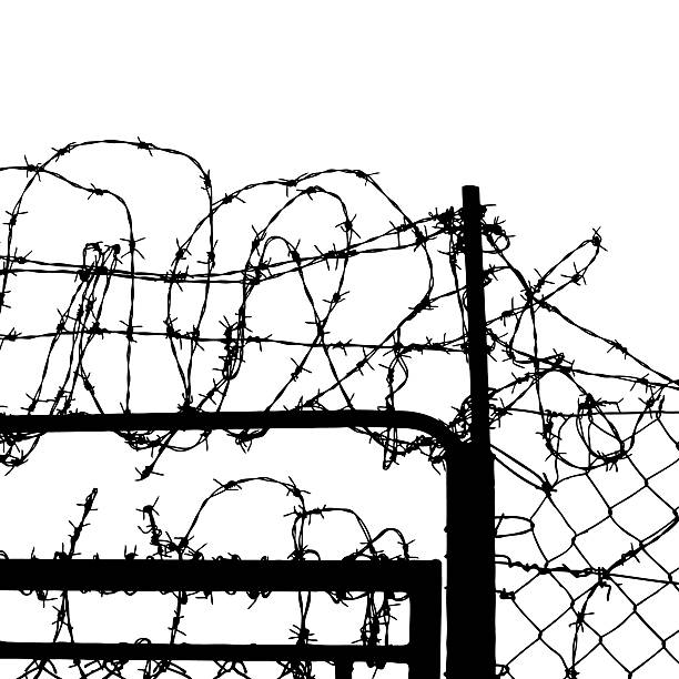 istock wired fence with barbed wires 120522298