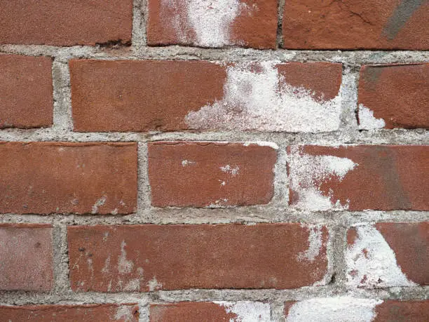 damage caused by efflorescence on a wall