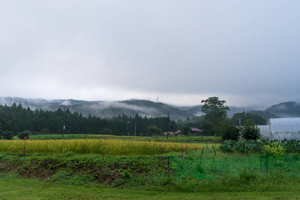 istock Rural and morning fog landscape 1205225273