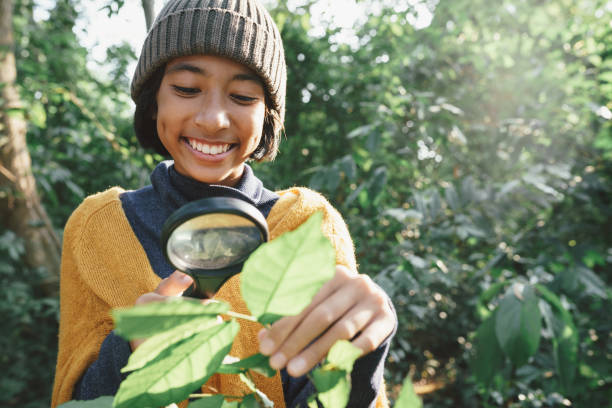 Asian little girl exploring the nature with magnifying glass and happy smile In the midst sunlight in the morning stock photo