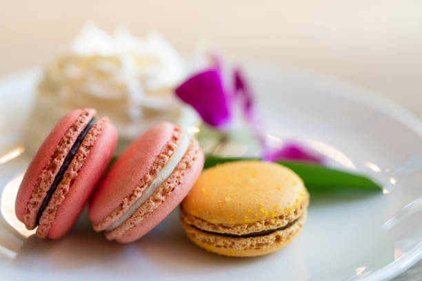 istock Close-up Colorful biscuit macaroons. Sweet macarons on white plates. 1205226284