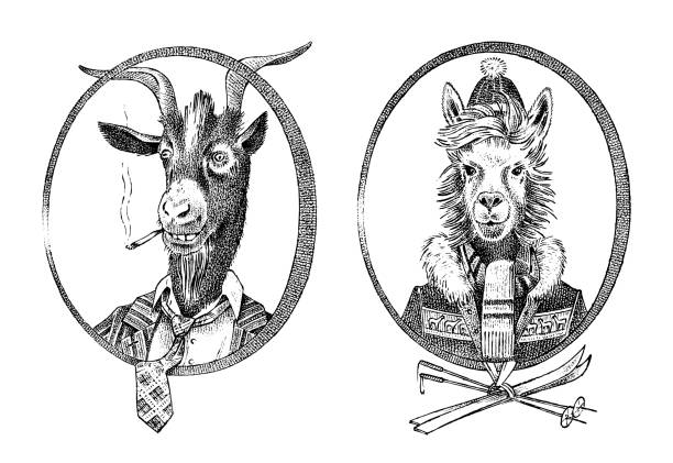 Animal character. smoking goat student and alpaca or Llama or Guanaco skier. Hand drawn portrait. Engraved old monochrome sketch for card, label or tattoo. Anthropomorphism in hipster style