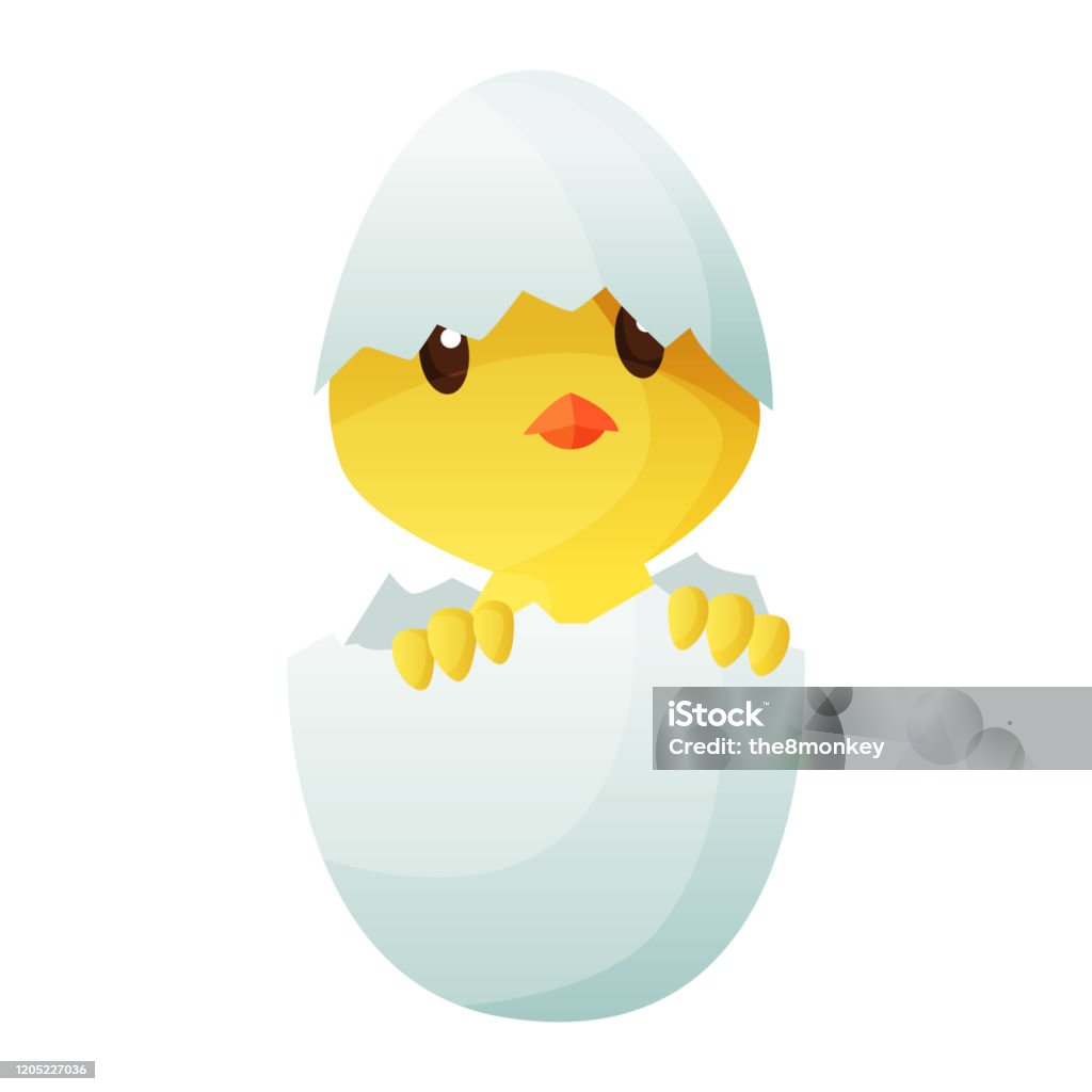 Gà Con Hoạt Hình Nhỏ Dễ Thương Nở Ra Từ Một Quả Trứng Được Cô Lập ...