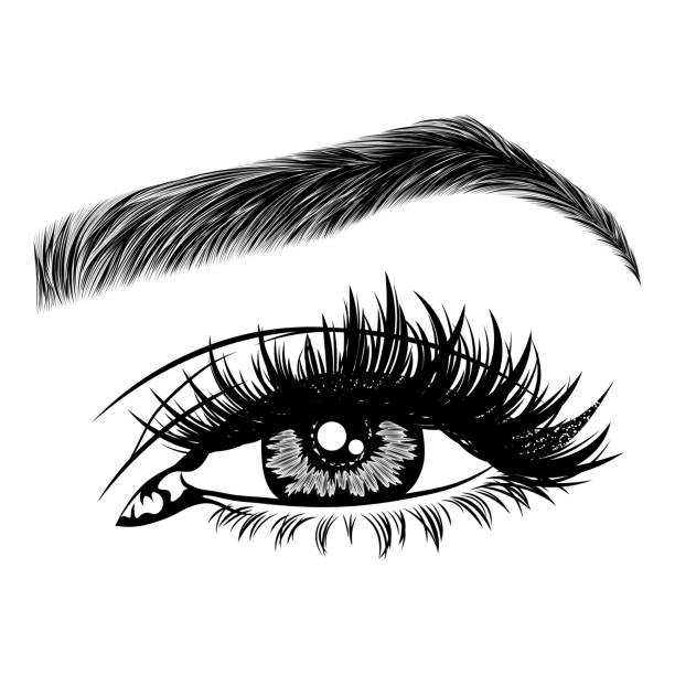 Illustration with woman's eye, eyelashes and eyebrow. Illustration with woman's eye, eyelashes and eyebrow. Makeup Look. Tattoo design. Logo for brow bar or lash salon. eyeliner brush stock illustrations