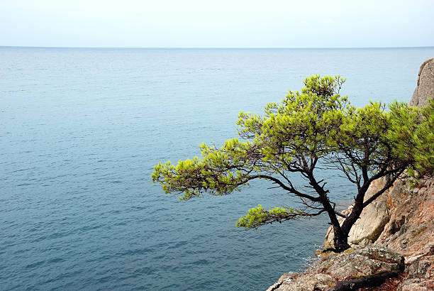 istock Along the coast of Spain... 120522964