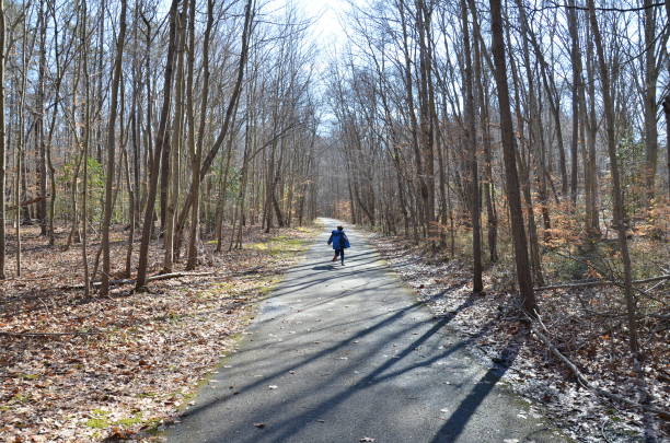 istock child on asphalt trail or path in forest or woods 1205230415