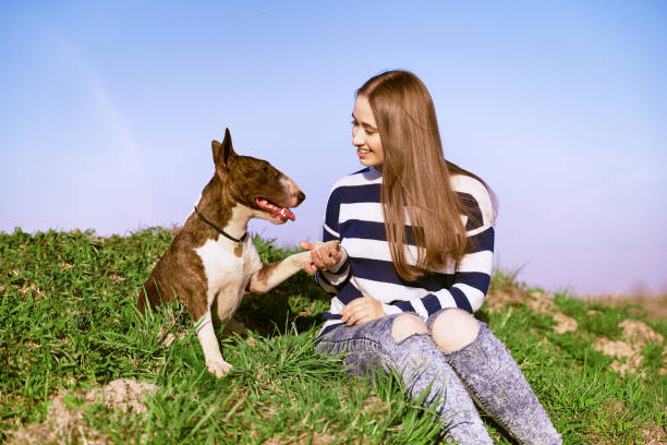 istock Young girl walks with bull Terrier in fresh air 1205230459