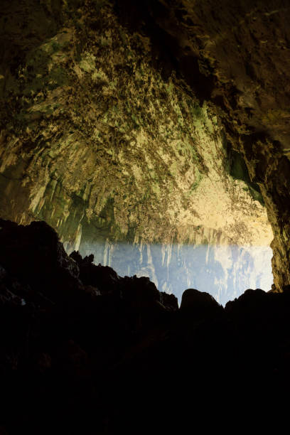 グヌン・ムル国立公園の鹿の洞窟内の眺め - グヌンムル国立公園 ストックフォトと画像