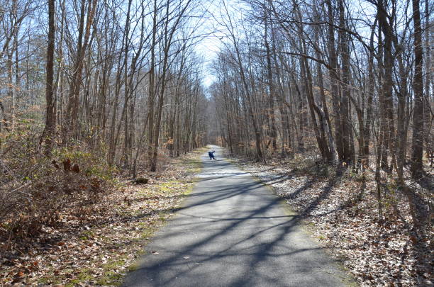 istock child on asphalt trail or path in forest or woods 1205230517
