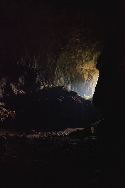 istock View inside Deer cave in Gunung Mulu National Park 1205230593