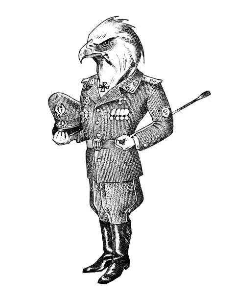 Vector illustration of White-headed eagle man in military uniform. Hand drawn fashionable cockerel. Engraved old monochrome sketch. Mythical fictional creature in hipster style