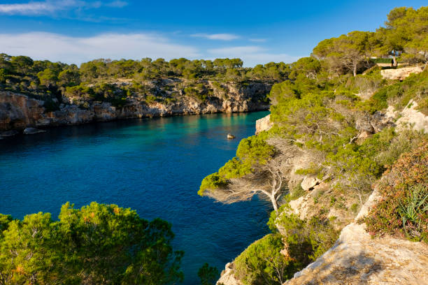 istock Small bay Cala Pi - Island Mallorca 1205234065