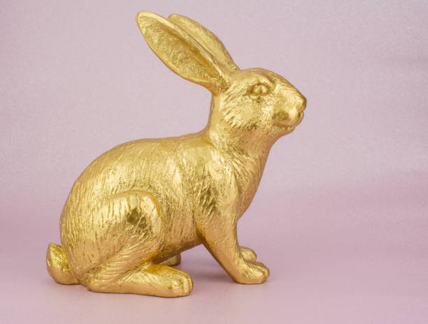 istock gold bunny rabbit in pink  background 1205234087