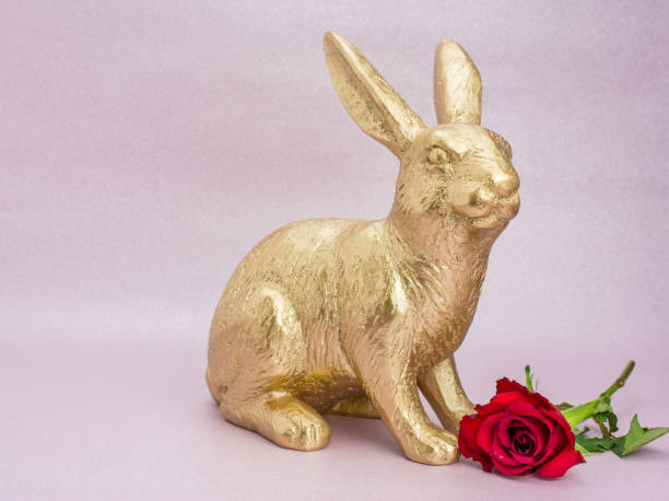 istock gold bunny rabbit in pink  background 1205234173