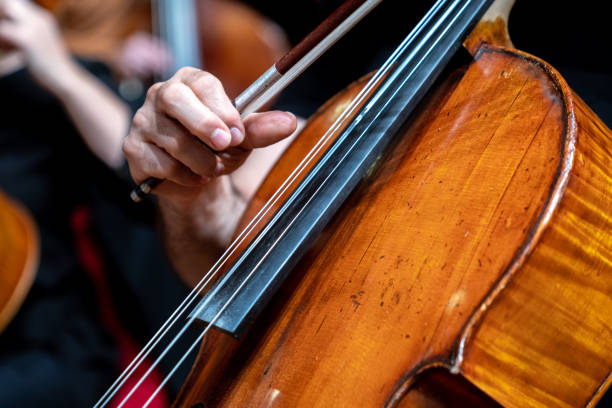 istock Hands of the man playing the cello 1205234275