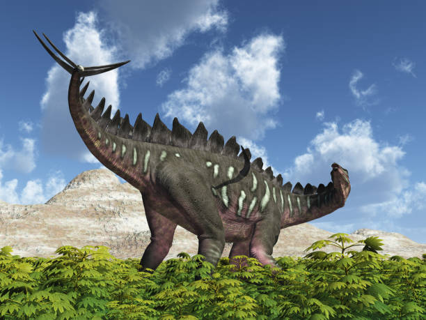 dinosauro miragaia in un paesaggio - stegosauro foto e immagini stock