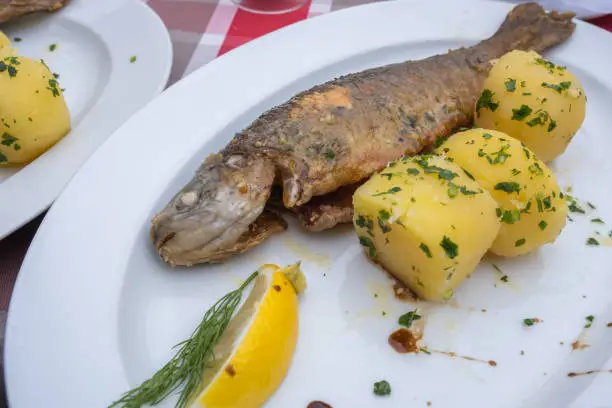 Photo of Fresh Hallstatt trout and potatoes recipe on the white dish at Hallstatter See or Lake Hallstatt