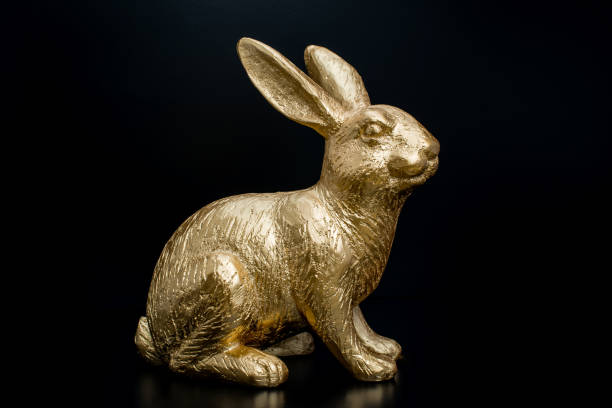 istock gold bunny rabbit in black  background 1205235395