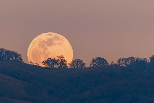 Full moon rising from behind a hill in the Diablo Mountain Range, in South San Francisco Bay Area, San Jose, California; visible distortion due to heat and pollution