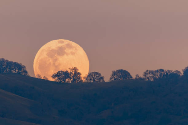 Photo of Full moon rising from behind a hill in the Diablo Mountain Range, in South San Francisco Bay Area, San Jose, California; visible distortion due to heat and pollution