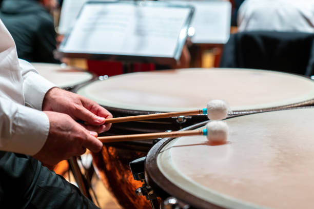 istock The hands of a musician playing on a timpani 1205235992