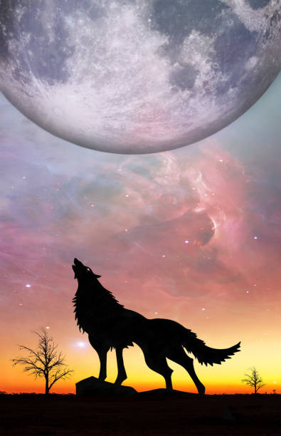 istock Fantasy landscape for e book cover - Howling wolf silhouette with huge planet rising in unreal sky. Elements of this image furnished by NASA 1205236177