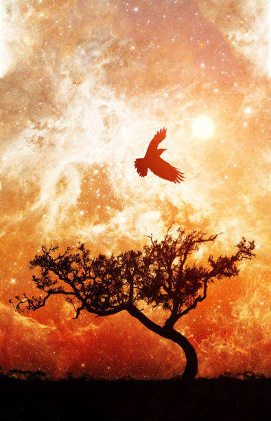 istock Ebook cover template - Lone tree silhouette with bird in flight on alien planet with glowing orange galaxy stars in the sky - elements of this image are furnished by NASA 1205236244