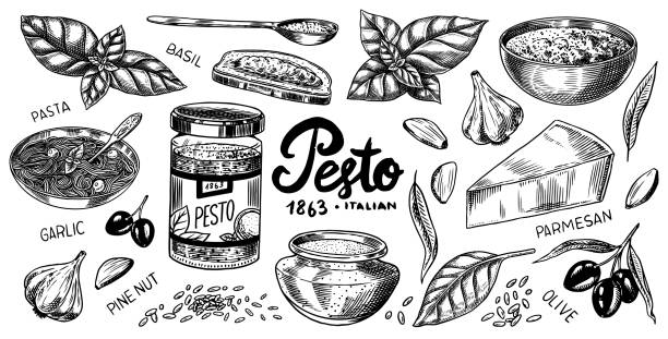 Pesto sauce set. Basil leaves, garlic, pine nuts, hard parmesan cheese, olive oil, pesto alla genovese. Spicy condiment, glass bottle, wooden spoon or dish, bunch of seeds. Engraved hand drawn sketch Pesto sauce set. Basil leaves, garlic, pine nuts, hard parmesan cheese, olive oil, pesto alla genovese. Spicy condiment, glass bottle, wooden spoon or dish, bunch of seeds. Engraved hand drawn sketch pesto sauce stock illustrations