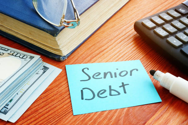 istock Conceptual photo showing hand written text Senior Debt 1205239709