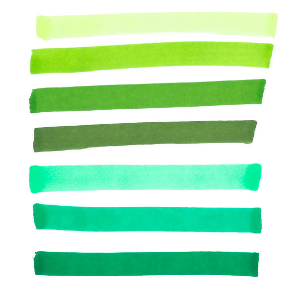 白に分離された手描きの緑のマーカーストライプのセット - lined paper paper education textbook ストックフォトと画像