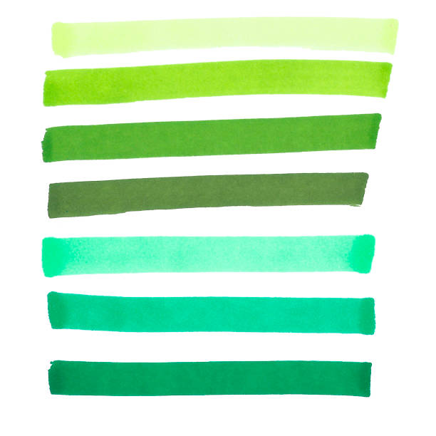 istock Set of hand drawn green marker stripes isolated on white 1205239711