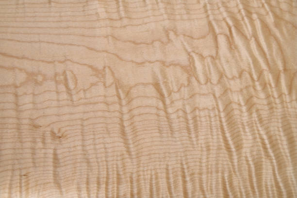 istock Sycamore maple texture. Sycamore maple veneer in workshop. 1205242827