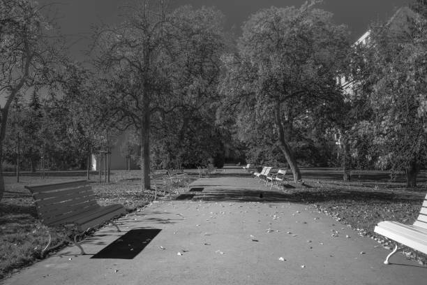 istock Vojanovy Sady, Park, Prague, Czech Republic, Autumn 4 1205245632