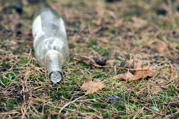 istock Empty glass bottles lie in the forest 1205245855