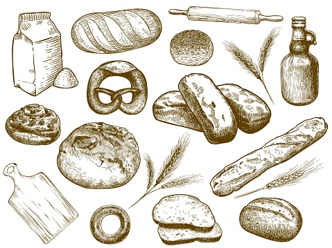 Hand drawn bakery. Freshly baked bread, wheat ears and baking flour. Sketch bakery ingredients vector illustration set. Collection of elegant monochrome vintage drawings of pastry products assortment.