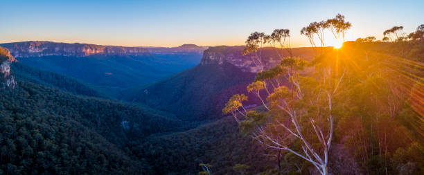 paisaje amanecer de blue mountains, sídney, australia - blue mountains australia sydney australia new south wales fotografías e imágenes de stock