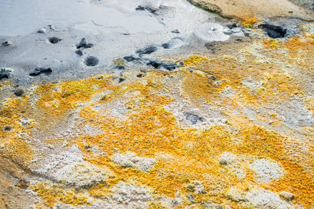 istock Myvatn Geothermal Area in Iceland 1205249616